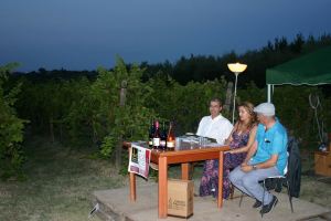 foto pergolato stefano carnicelli