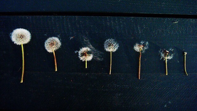 tumblr_static_tumblr_static__640