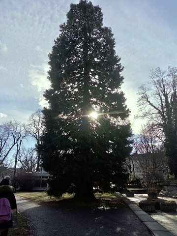 26648255_1715655328487102_188093298_n