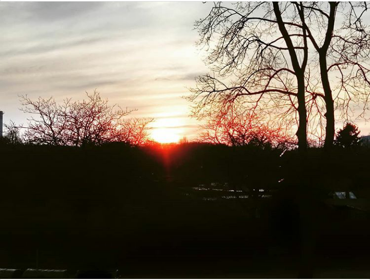 32857620_1849279235124710_1206789753232424960_n