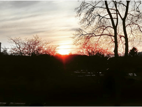 32857620_1849279235124710_1206789753232424960_n