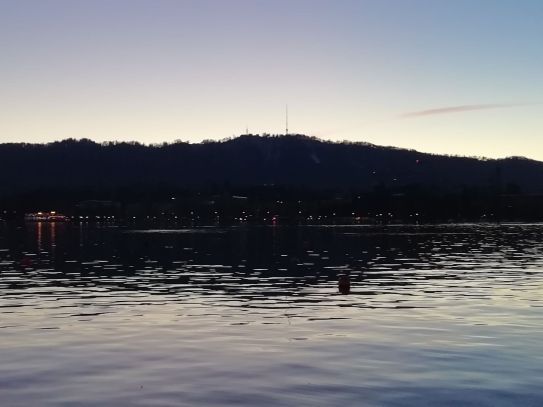 52063686_736441820089724_5303827153593303040_n