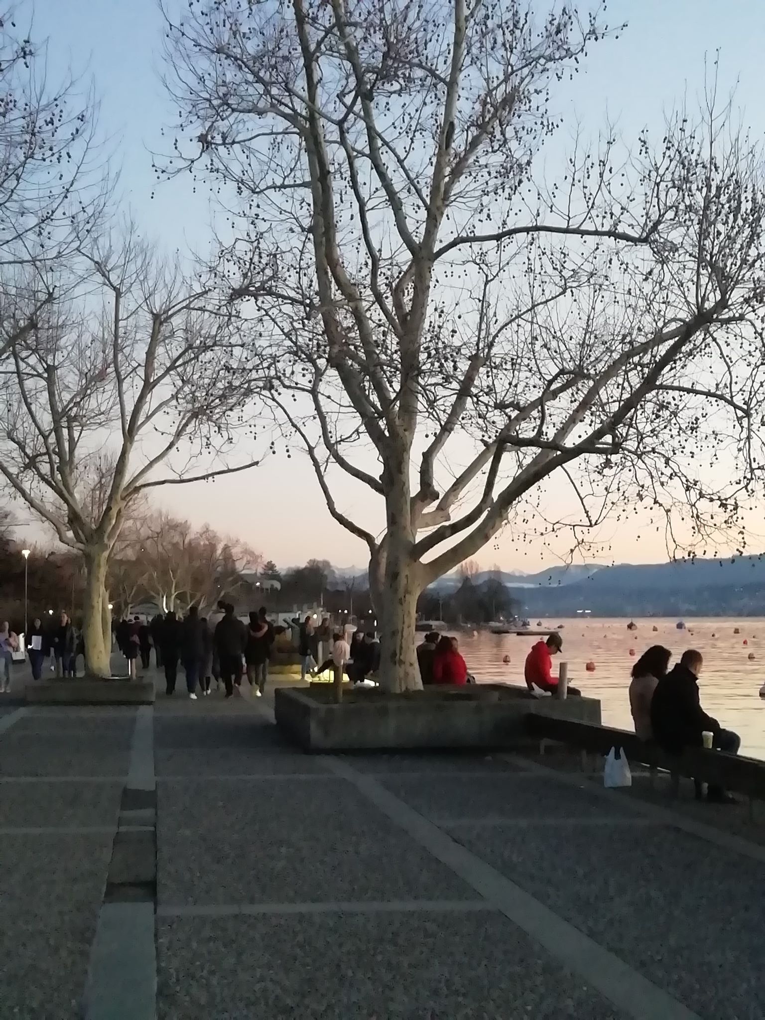 52531015_2348567782091389_8485468630740369408_n