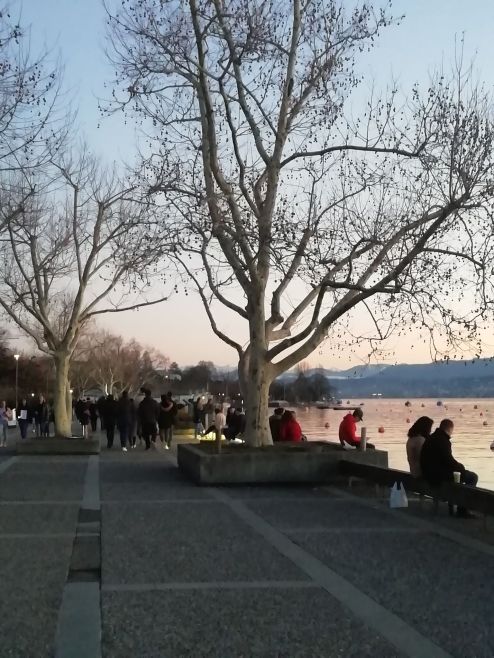 52531015_2348567782091389_8485468630740369408_n