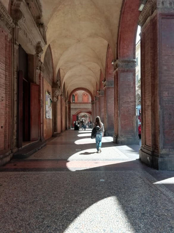 58443711_507950203072281_6357142220507709440_n