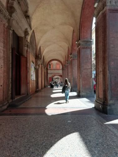 58443711_507950203072281_6357142220507709440_n