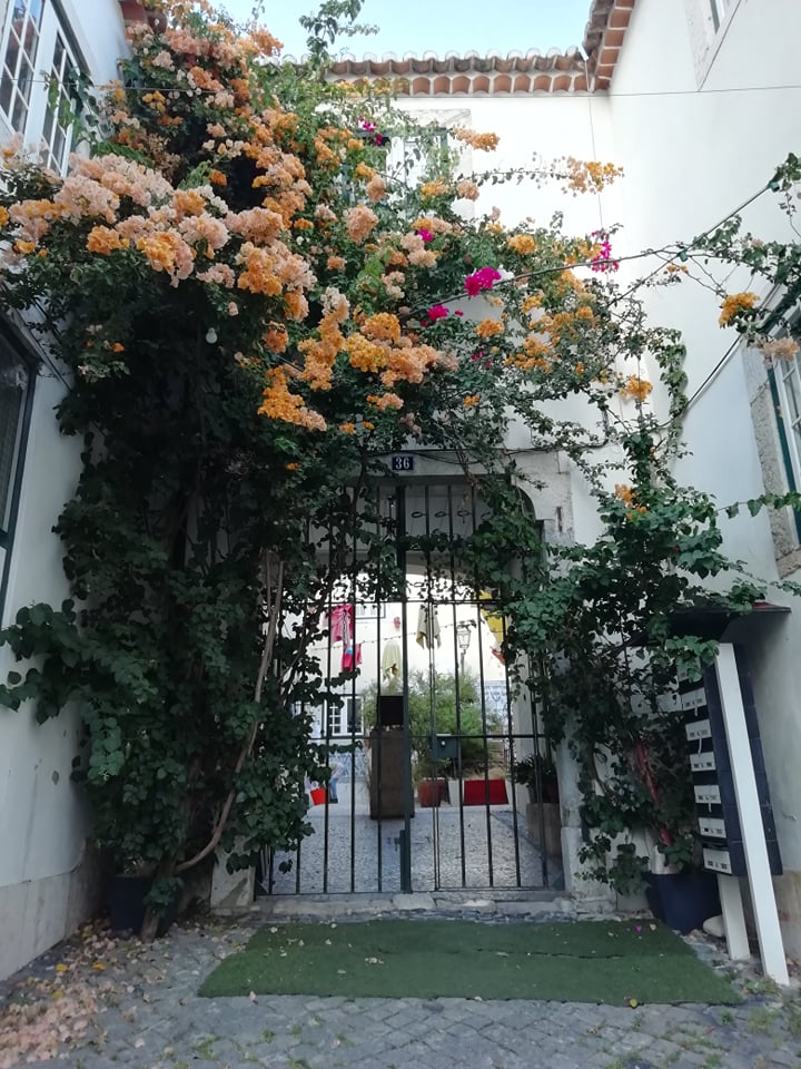 67439750_433600723911909_87135600716546048_n