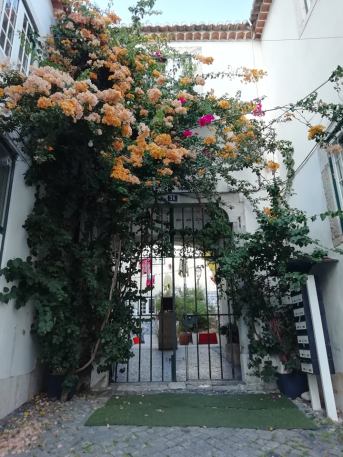 67439750_433600723911909_87135600716546048_n