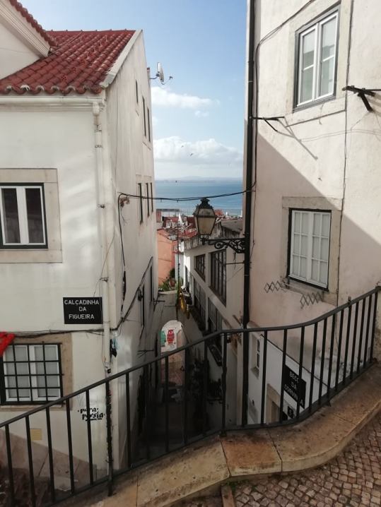 67647114_470773560150068_6991396130055520256_n