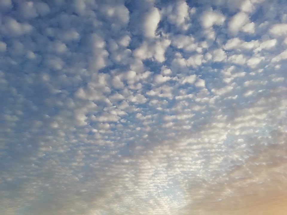 67652119_734150990355387_1873009949018161152_n