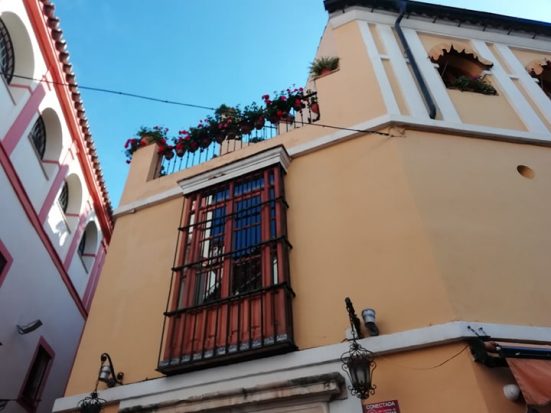 84212019_2221853884778118_1724799878992756736_n