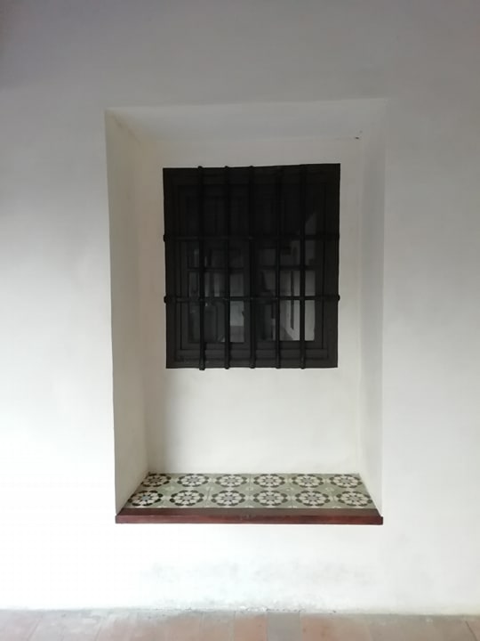 88177401_130819378361870_3924326762409885696_n