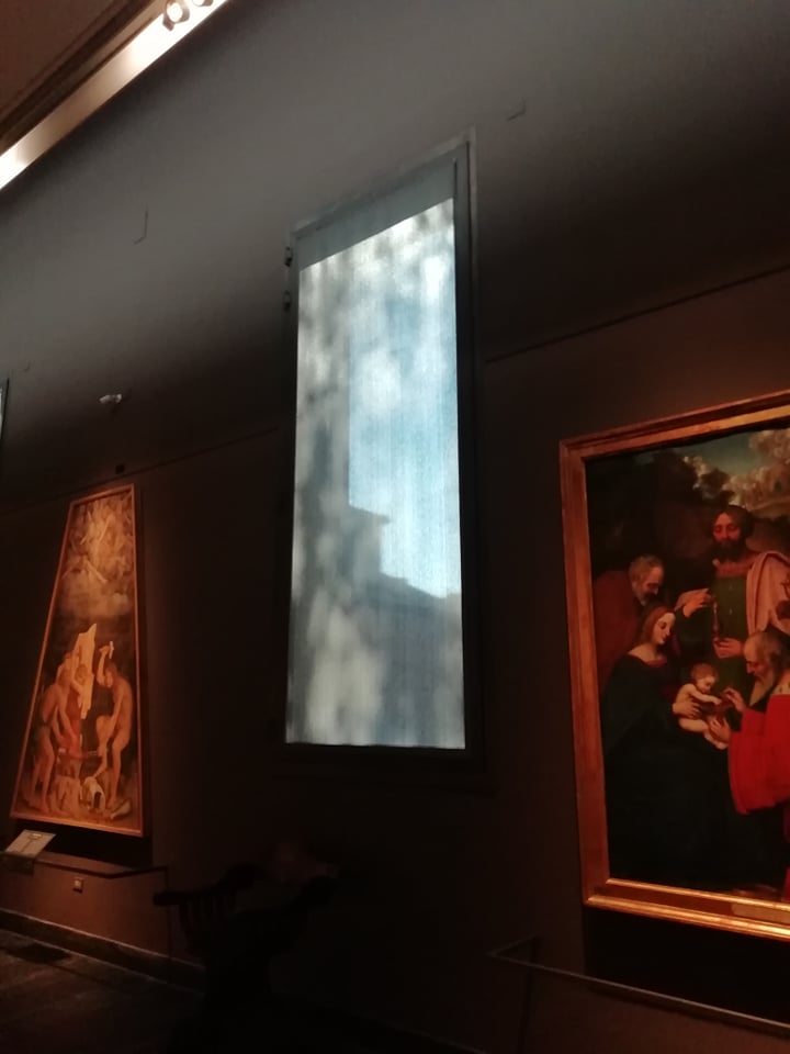 274003832_661661884870155_2155794742246873368_n