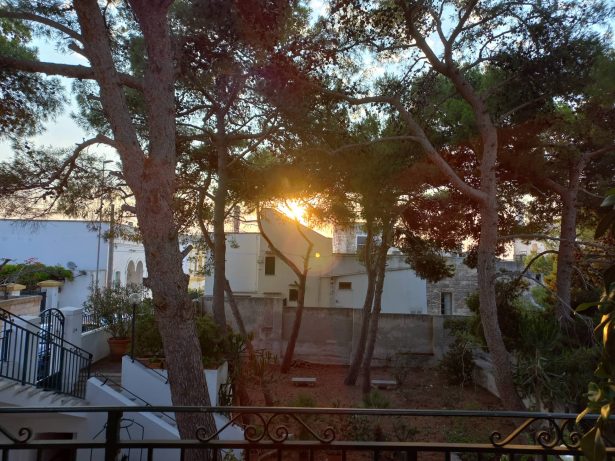 297573978_2931083607188057_2002841861389665452_n