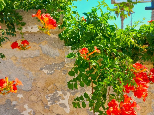 298016523_574684351031638_475447269269915919_n