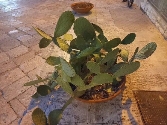 298128461_1896560630554593_2911848670402445273_n