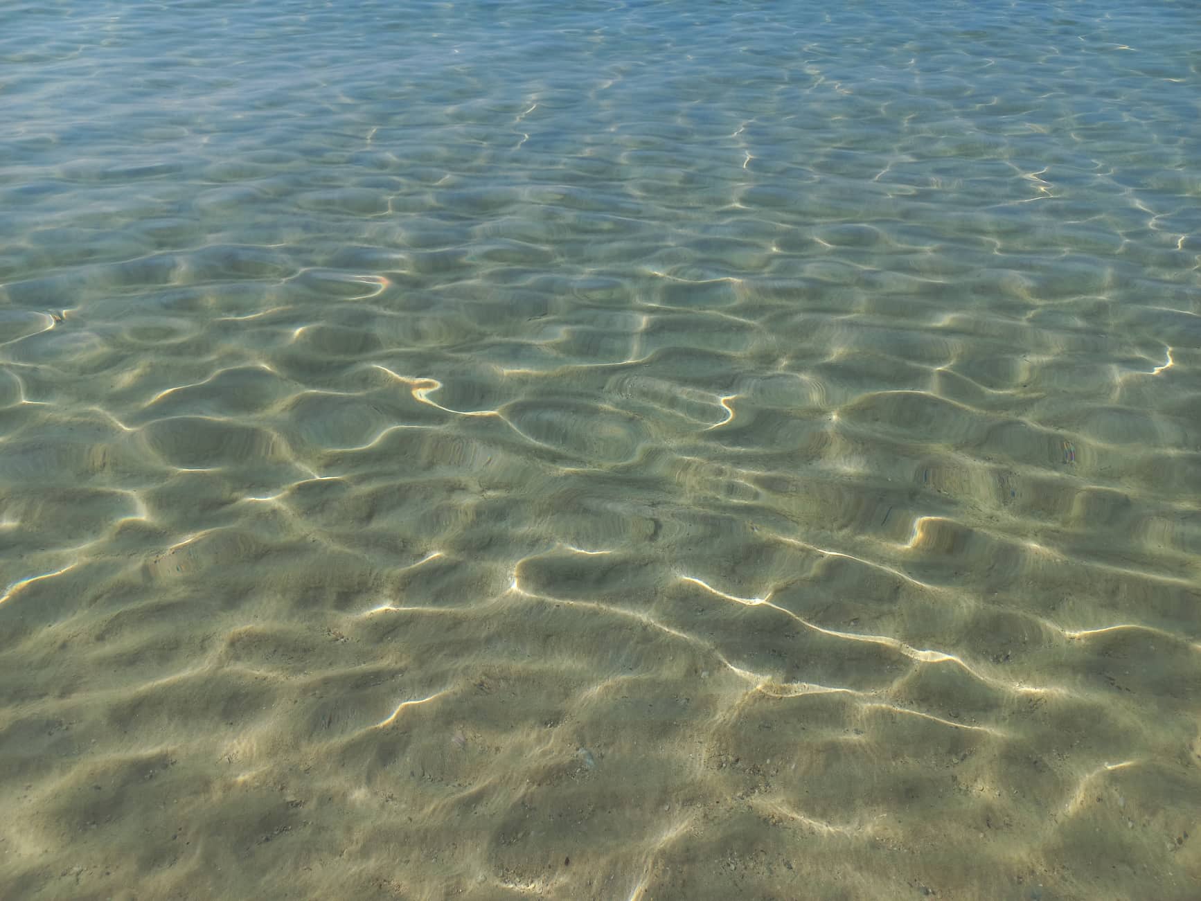 298395094_1973490576176278_6547974021838881935_n