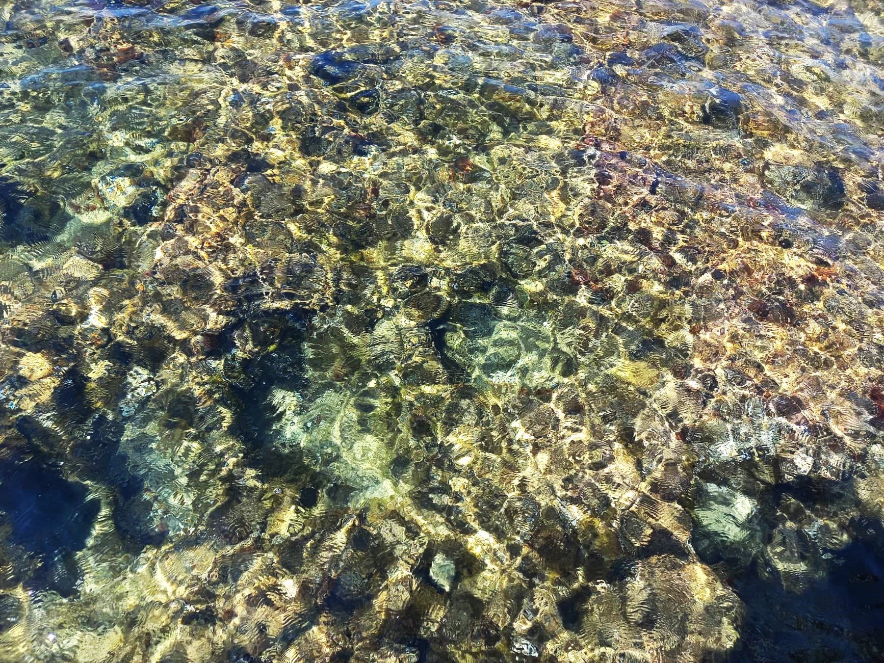 299083498_595320865494893_1955122598474849972_n